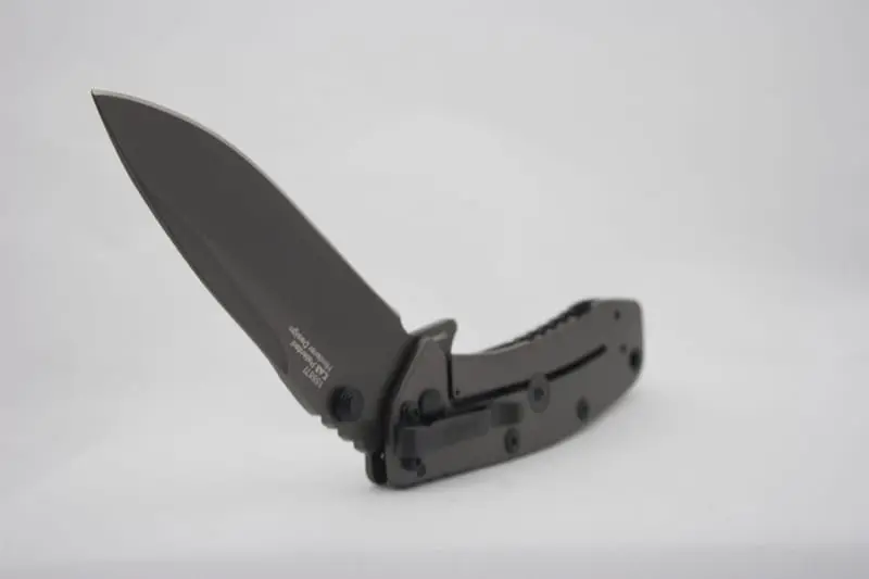 Kershaw Cryo II knife