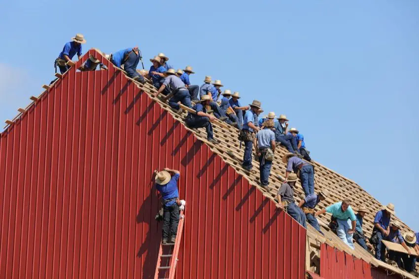 ladder safety tips and training guidelines