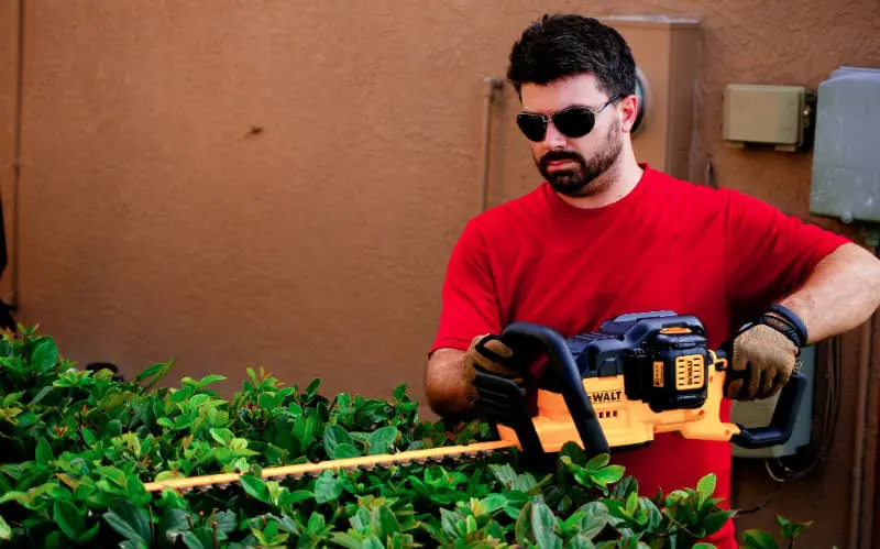 DeWalt 40V Max Hedge Trimmer Featured Image