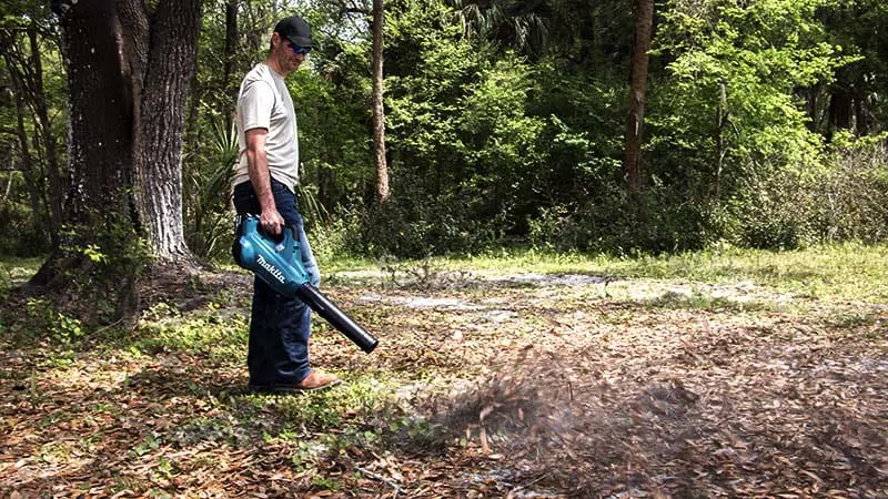 Makita 18V X2 LXT Brushless Blower Action