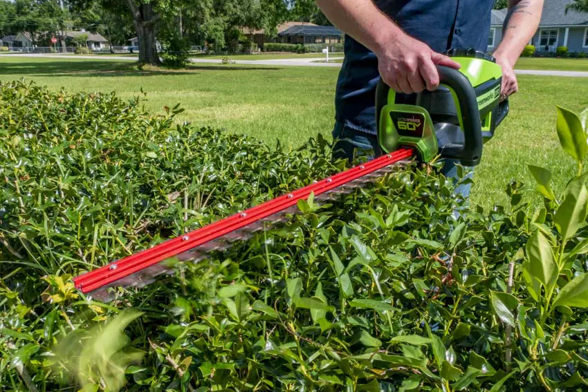 Greenworks 60V Battery-Powered Hedge Trimmer Review