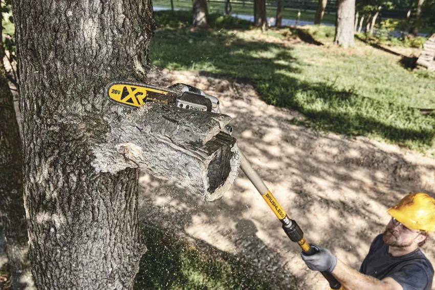 Dewalt chainsaw on a pole sale