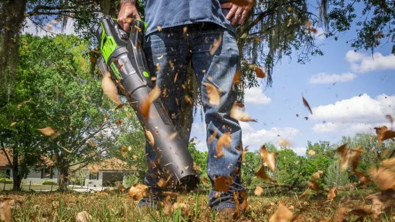 Best Value Battery Leaf Blower