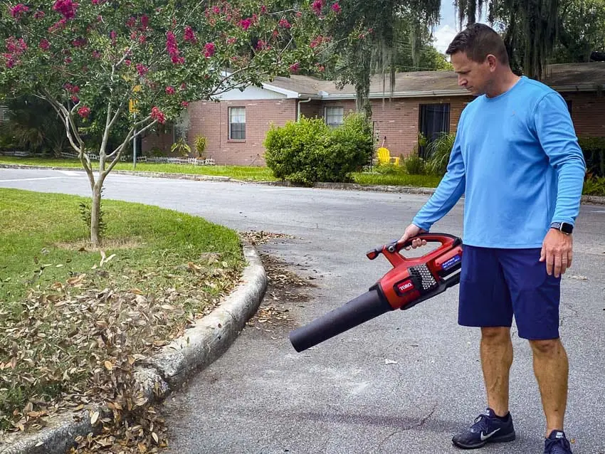 Toro 60V 51820 blowing leaves