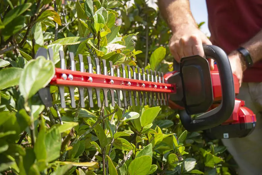 Toro Battery Hedge Trimmer