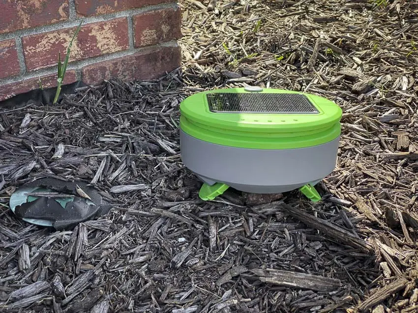 Tertill solar-powered weeder