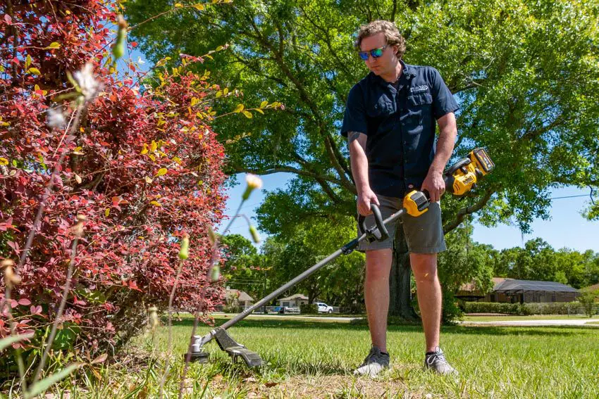 Dewalt cordless string trimmer reviews sale