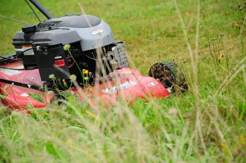 How to Cut Tall Grass - Reclaiming Overgrown Areas