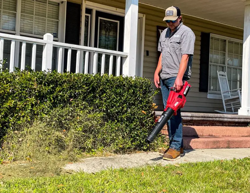 Skil cordless leaf blower sale