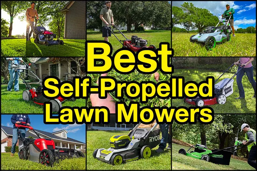 Best Self Propelled Lawn Mower Reviews 2024