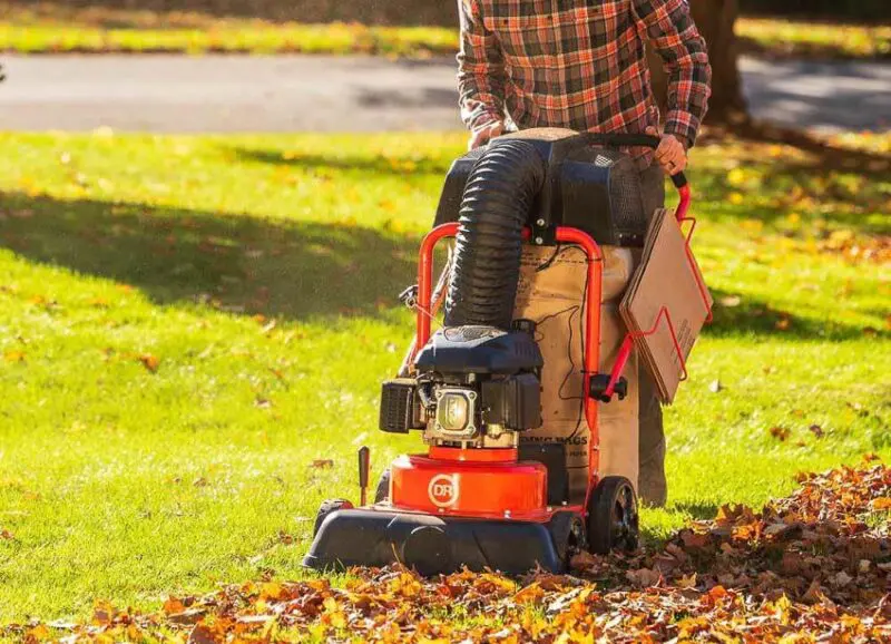 Best Leaf Vacuum Reviews (2024) - Pro Tool Reviews