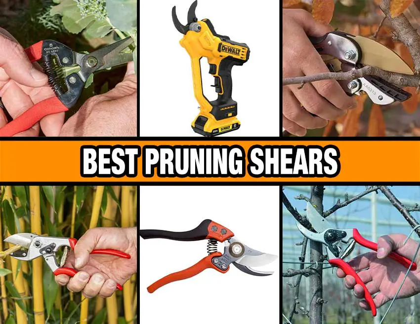 best pruning shears