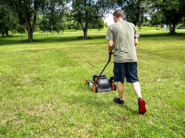 Worx 2 x 20V Battery-Powered Lawn Mower Review - Pro Tool Reviews