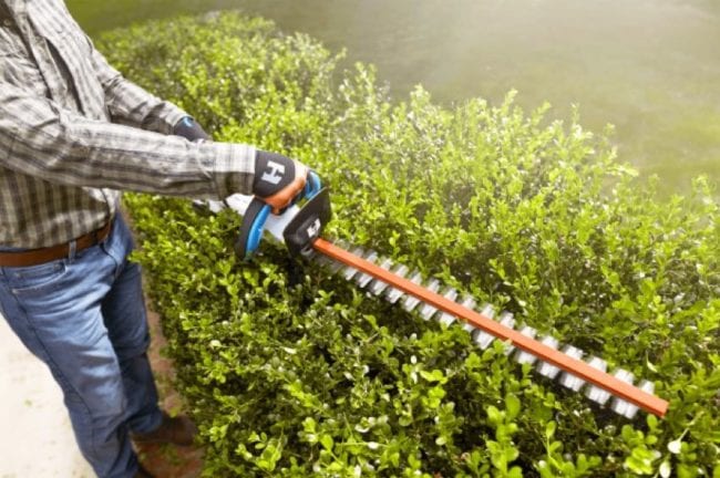 Best Battery-Powered Hedge Trimmer Reviews 2022 - Pro Tool Reviews