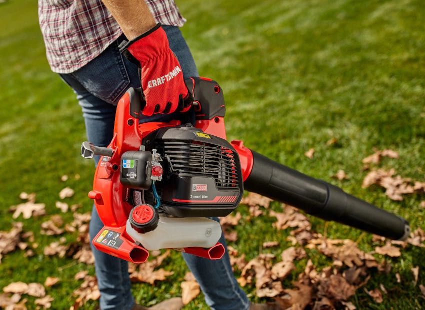 Best Gas Leaf Blower Reviews 2022 Pro Tool Reviews