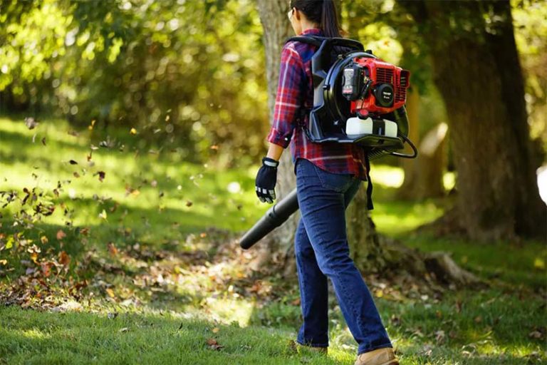 Best Backpack Leaf Blower Reviews 2023 Pro Tool Reviews