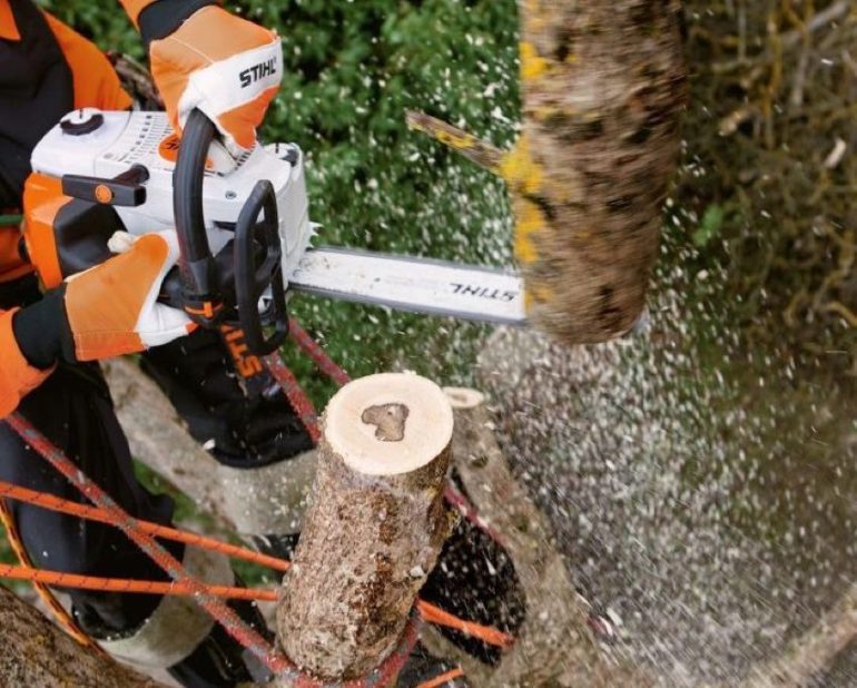 Best Stihl Chainsaw Reviews 2022 Pro Tool Reviews