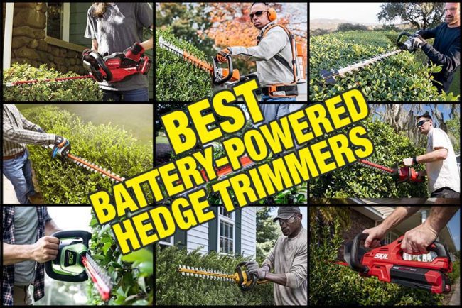 Best Battery-Powered Hedge Trimmer Reviews 2022 - Pro Tool Reviews