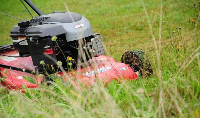 How to Cut Tall Grass - Reclaiming Overgrown Areas