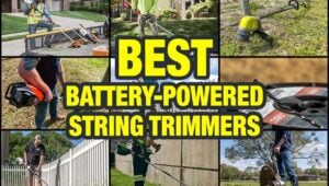 Best Battery-Powered String Trimmer Reviews