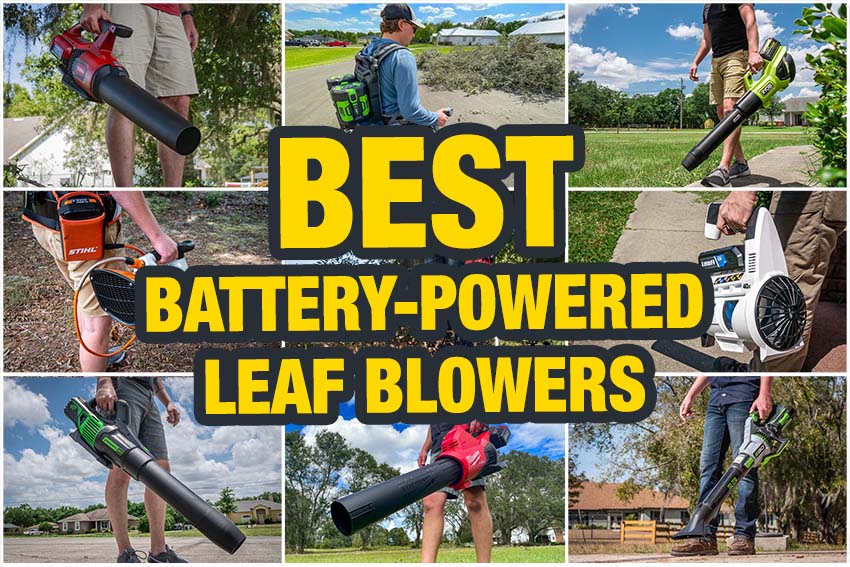 The 6 Best Electric Leaf Blowers, Tested and Reviewed