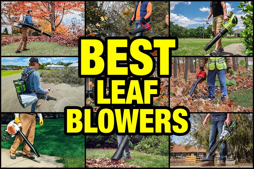 14 Best Leaf Blowers of 2024 - Reviewed