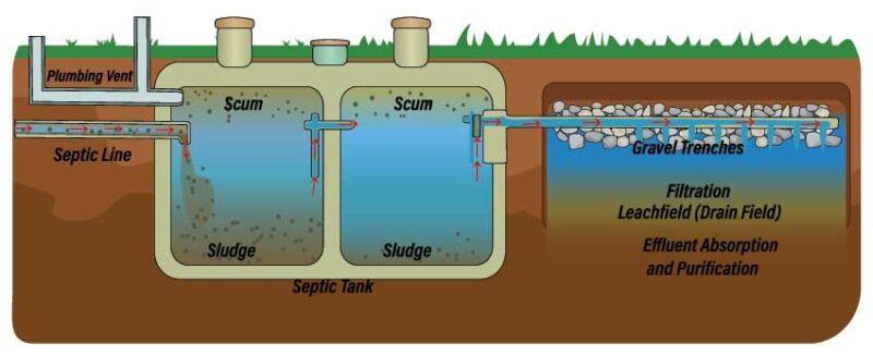 How Septic System Works 800x326 