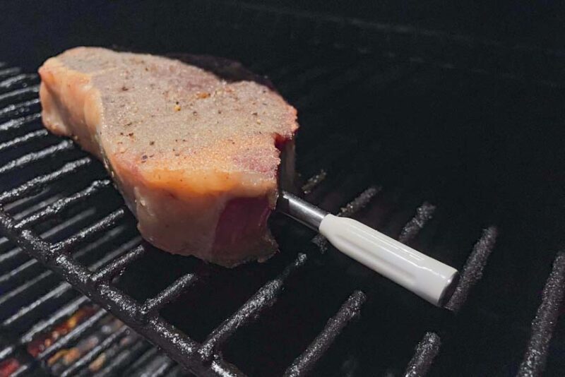 The Official TempSpike Wireless Meat Thermometer by ThermoPro