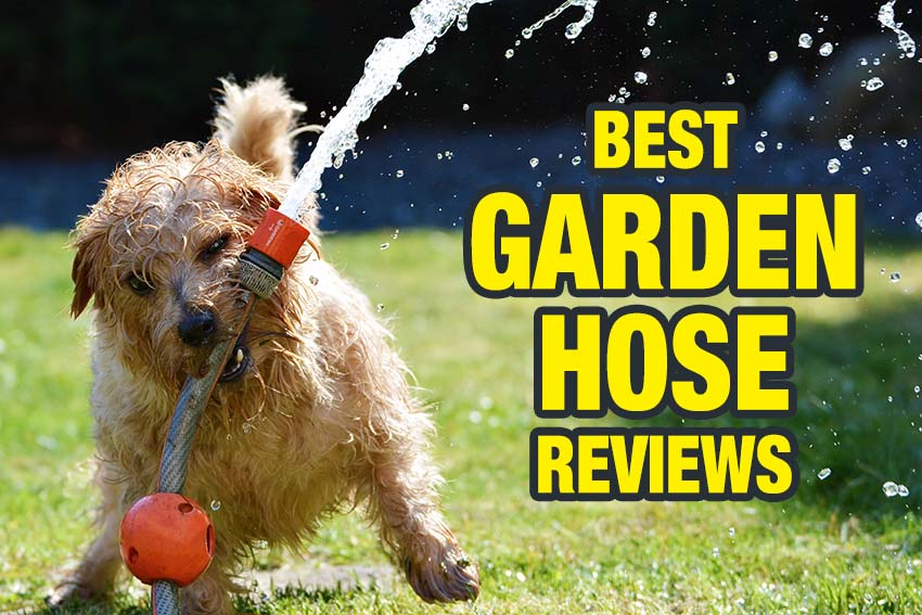 Best Garden Hose Reviews 2023 - PTR