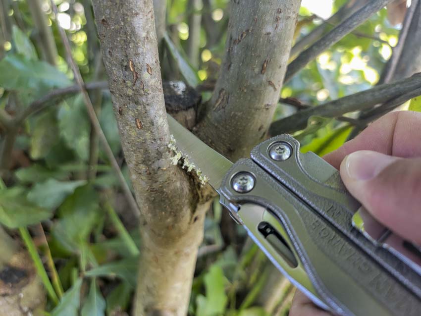 Leatherman Charge+ TTI Multi-Tool Review - Pro Tool Reviews