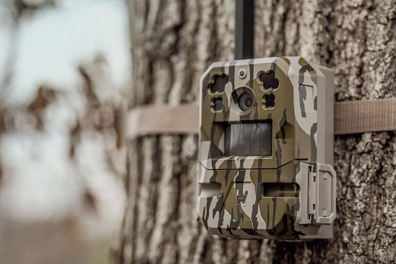 Moultrie Mobile Edge Pro Cellular Trail Camera Review - Pro Tool Reviews