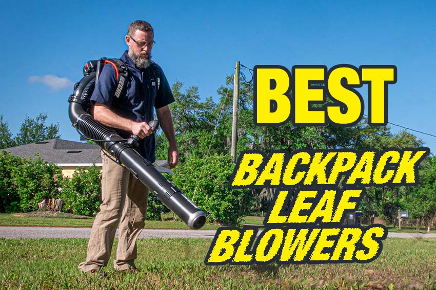 9 Best Gas Leaf Blowers in 2023 - Gas-Powered Leaf Blowers