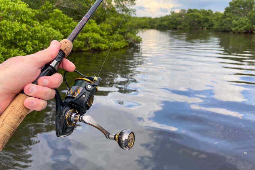 Authority® 6500 High Speed Spinning Reel