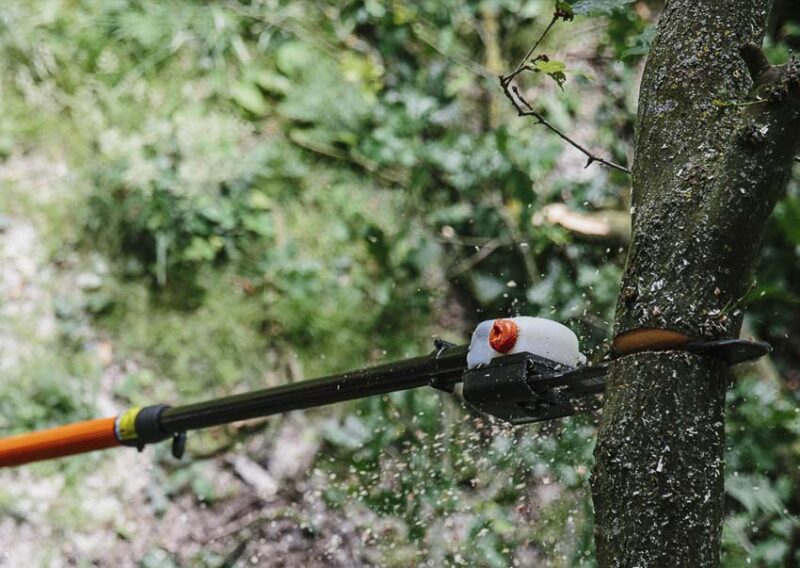 The 8 Best Pole Saws of 2023