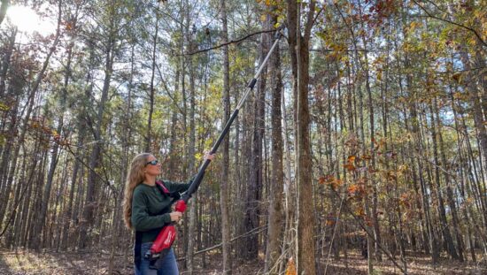 Milwaukee M18 Fuel Telescoping Pole Saw Review