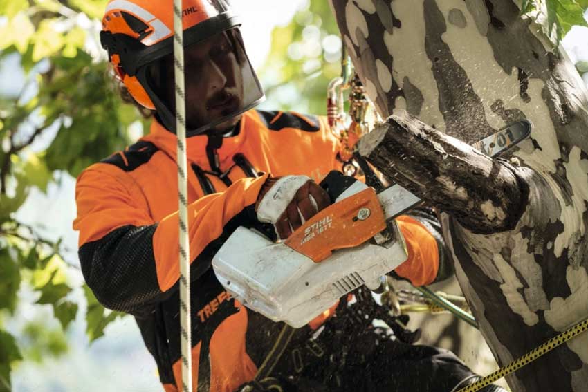 Stihl MSA 161 T top handle chainsaw