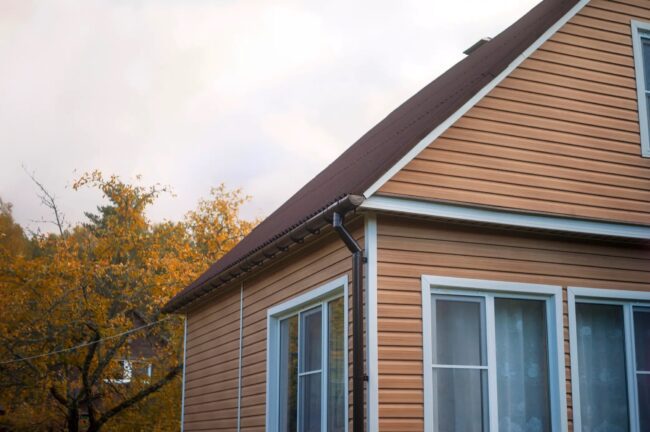 Cost Of Vinyl Siding Guide To Installation Maintenance 2024   Vinyl Siding 07 40 650x432 