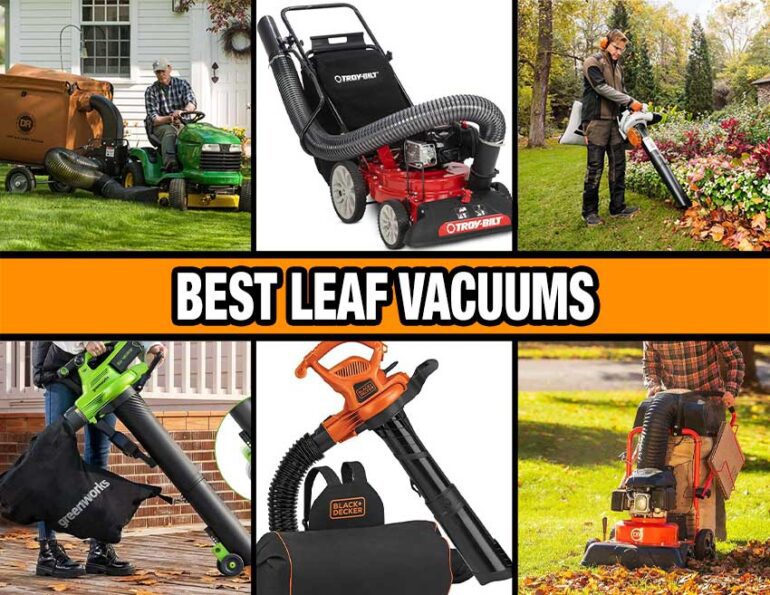 Best Leaf Vacuum Reviews 2024 Pro Tool Reviews   Best Leaf Vac Feature 850 770x595 