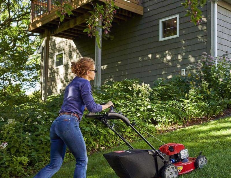 Master the art of mowing with the best push mowers for summer 2024 -  Gardens Illustrated