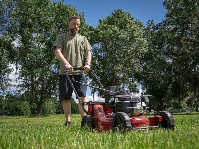 Best gas lawn mowers 2024: top picks for a smart yard