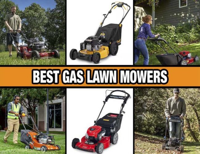 Best Gas Lawn Mower (2024) Pro Tool Reviews