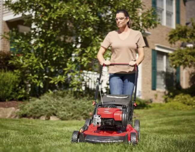 Best Gas Lawn Mower (2024) Pro Tool Reviews