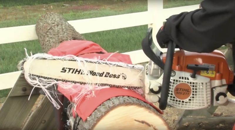 rules of chainsaw safety include wearing the proper PPE, like chaps