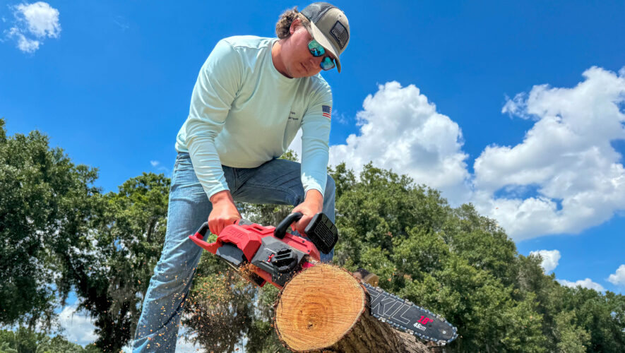 Skil 18-Inch Battery-Powered Chainsaw