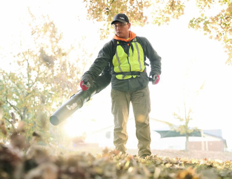 redmax ebz9000 backpack leaf blower