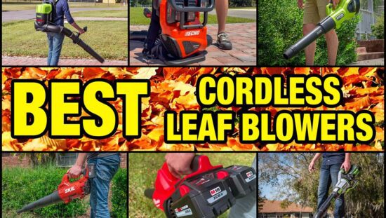 Best Cordless Leaf Blower Reviews