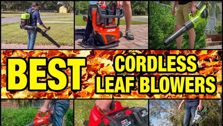 Best Cordless Leaf Blower Reviews