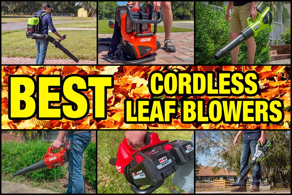 Best Cordless Leaf Blower Reviews