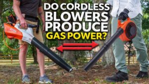 Are Cordless Leaf Blowers Really As Powerful As Gas Models?